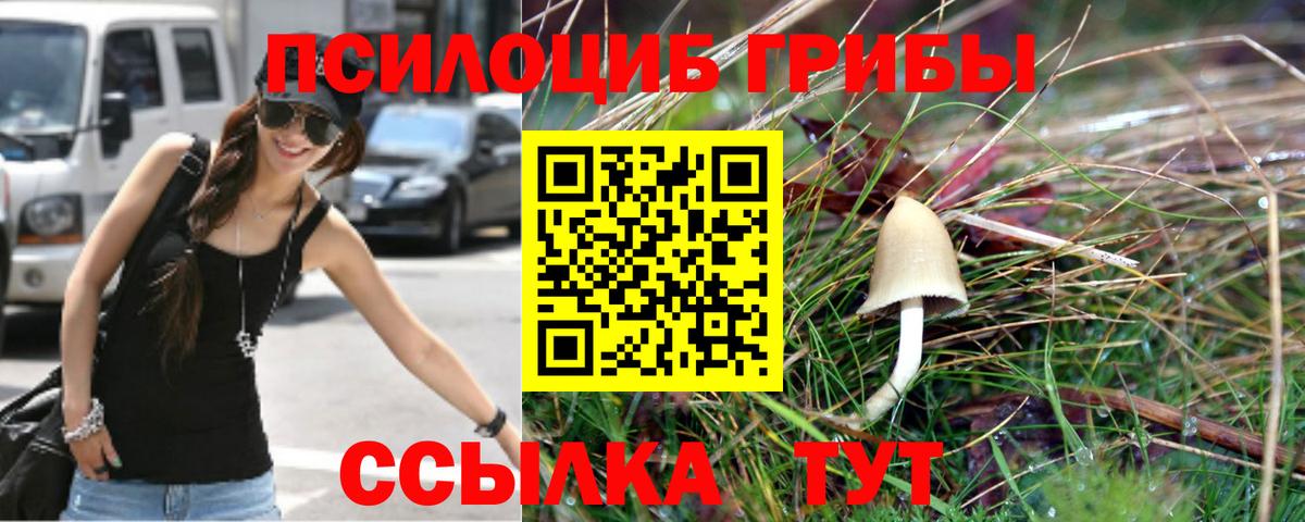 Галлюциногенные грибы мухоморы  Вход с VPN  Юрга 